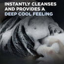 Dove Men+Care Cooling Relief Daily Shampoo with Icy Menthol for All Hair Types, 20.4 fl oz